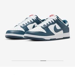 Brand new blue white low dunks.